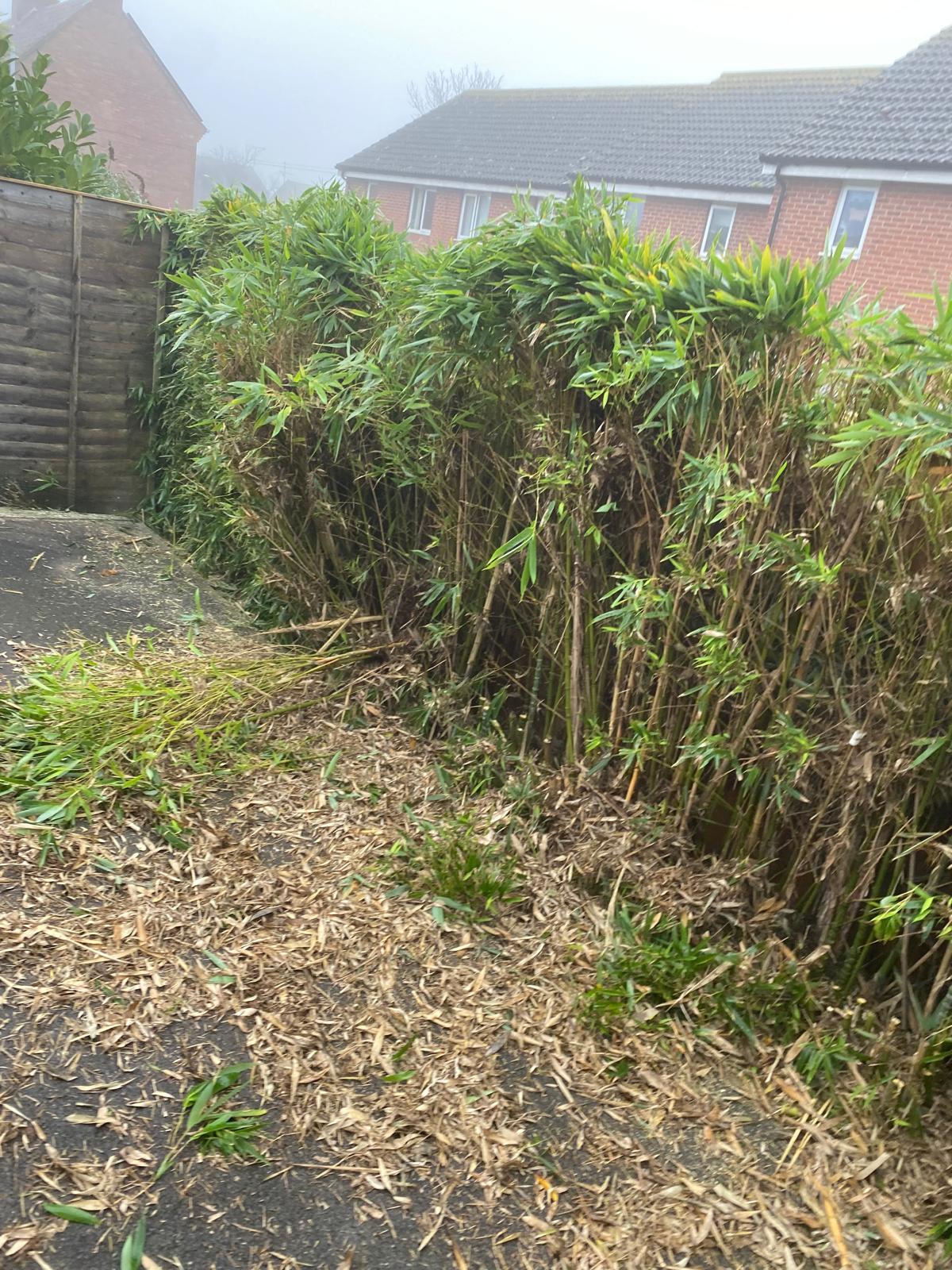 Hedge removal completed in Wincanton by JB Outdoor Services